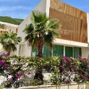 Villa Central Palms