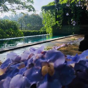 Goddess cheerful three bedroom villa with pool