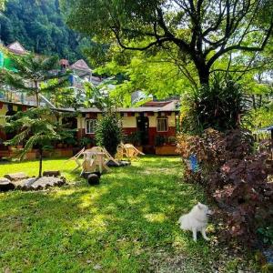 Passion Nepal Eco Lodge