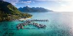 Manihi French Polynesia Hotels - Hilton Moorea Lagoon Resort And Spa
