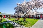 Timaru New Zealand Hotels - Christchurch Park Motel