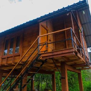 Lion Wood Treehouse