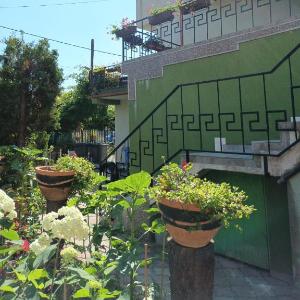 Casa Tuia by EfoRooms - Liniste si camere primitoare