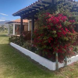 Cabaña Los Potrillos