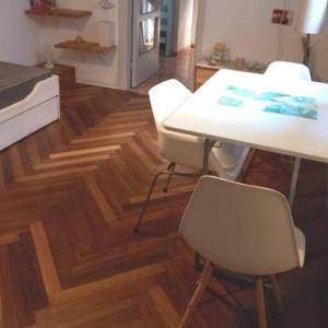 Cálido apartamento a 8 cuadras del mar y a 3 de 18 Julio Estarán acompañados por una gatita que vive alli