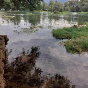 Apartman Dalal - with access to river Una