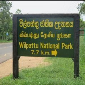 Wilpattu Forest Buma Lodge
