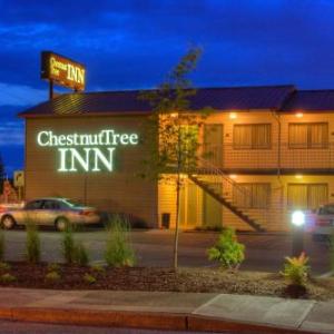 Chestnut Tree Inn Portland Mall 205