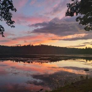 LAKEVIEW BLISS LIMIT 8