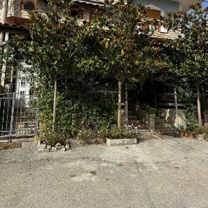 Guest House Adi Hoxha