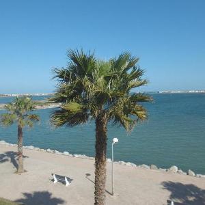 Gruissan - A 2 Pas de la Plage - Studio Cabine pour 4 - Parking Securise - FR-1-796-15