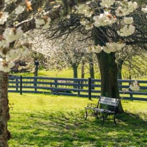 Lupin Lodge Bed & Breakfast
