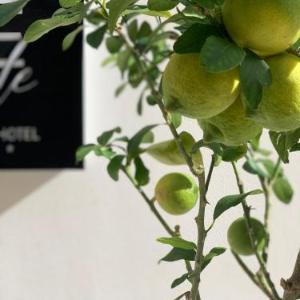 Re Sale Boutique Hotel