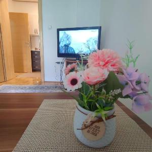 Apartment Centar