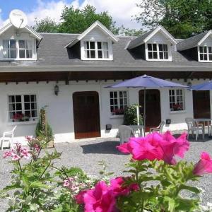 Cozy Escape in Bohon
