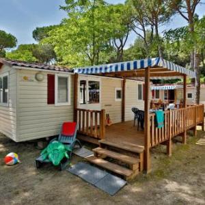 Albatross Mobile Homes on Camping Waikiki