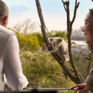 Wildlife Retreat at Taronga