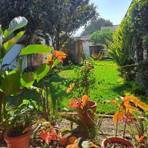 Jardín de Stela Hotel