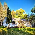 Ultra Comfy Spotless & Spacious Private Home in Boyne Dogs Ok Walk to Town Boyne City