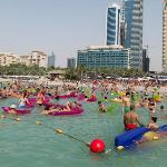 Urban Panda Beach Hostel JBR Dubai 