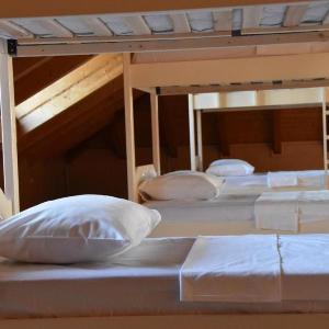 Symphony Hostel Shkoder