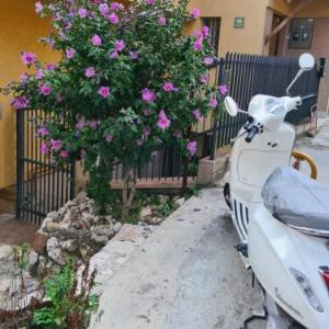 Apartman Yellow House