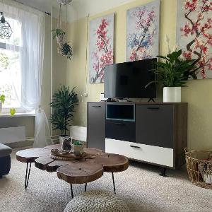 Sunny Studio Apt Next to Park Near Center