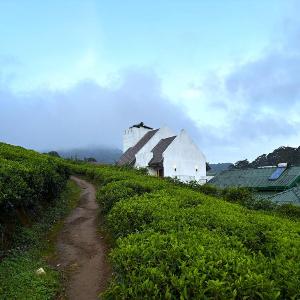 Wintry Hills-Nuwara Eliya