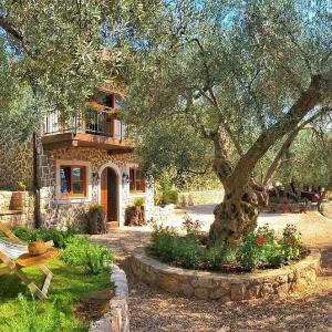 OLIVE QUEEN Rustic villa