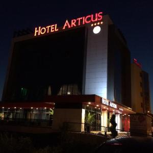 Hotel Articus