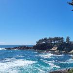 Ocean Front Condo Walk to Everything! Whale Watcher's Point