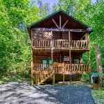 American Spirit Free Tickets Hot Tub WIFI Cozy Cabin Retreat in the Smokies Comfort & Fun! Tennessee