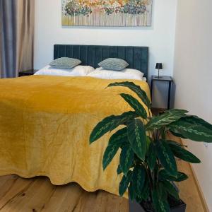 H52 Apartments