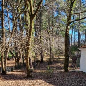 Les Chalets du Golf de Biscarrosse