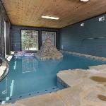 Big Forest Lodge - Private Indoor Pool Theater Room 2 Game Rooms Outdoor Hot Tub + More!