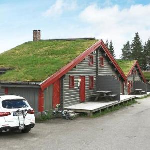 Three-Bedroom Holiday home in Trysil