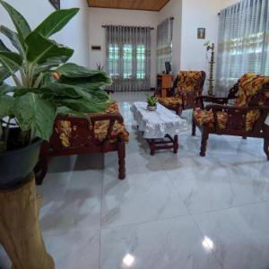 Green House