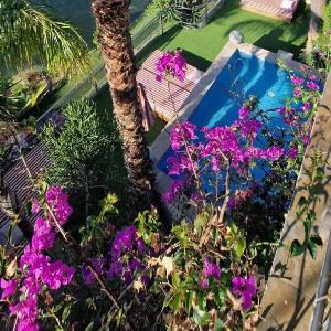 Condesa del Mar apartamentos adults only