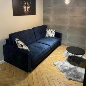 Apartamenty Szary Wilk - klimatyczne apartamenty typu studio dla 2 osób - BLISKO CENTRUM -BEZPŁATNY PARKING