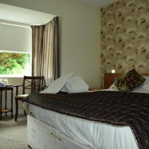 Hotels near Floral Pavilion - Albion Guest House