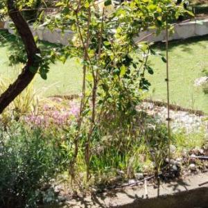Appartement Pinède Romane Fréjus