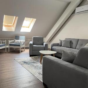 Old Town Loft Sarajevo with Free Parking