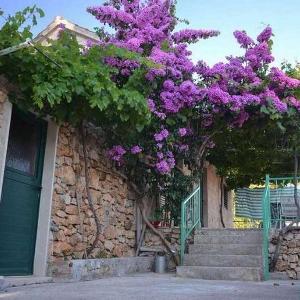 Apartments with parking space Murvica Brac - 23462