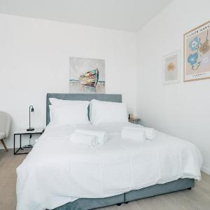 Luminous Living Studio