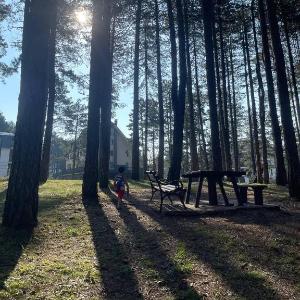 Prestige Forest Zlatibor