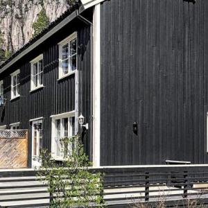 Three-Bedroom Holiday home in Nissedal