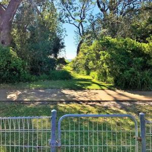 On Collingwood Beach by Book Jervis Bay - Downstairs Apartment - 50m From THE Water
