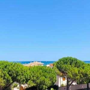 T2 Vue Mer Parking Privé St-Cyprien Plage - FR-1-309-478