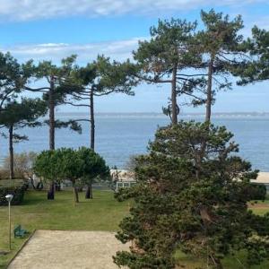 Appartement T2 bis avec balcon parking et WIFI à Arcachon - FR-1-374-199