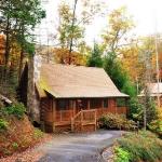 ER205 - Love Nest Great location - Close to town! cabin